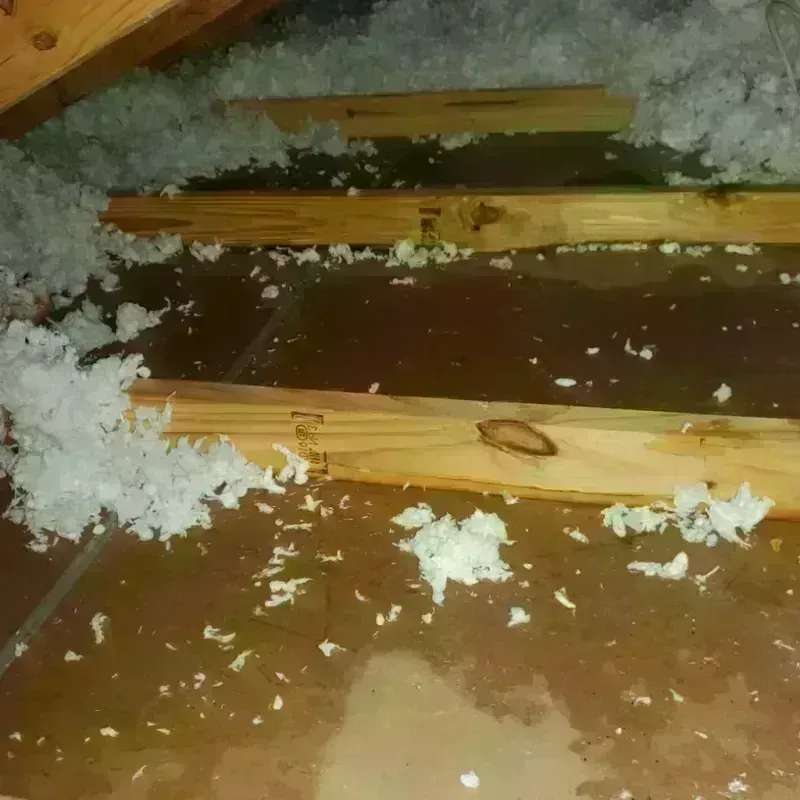 Attic Water Damage in Midway, UT